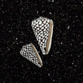 KOASTED | Marble Shell Sticker