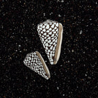 KOASTED | Marble Shell Sticker