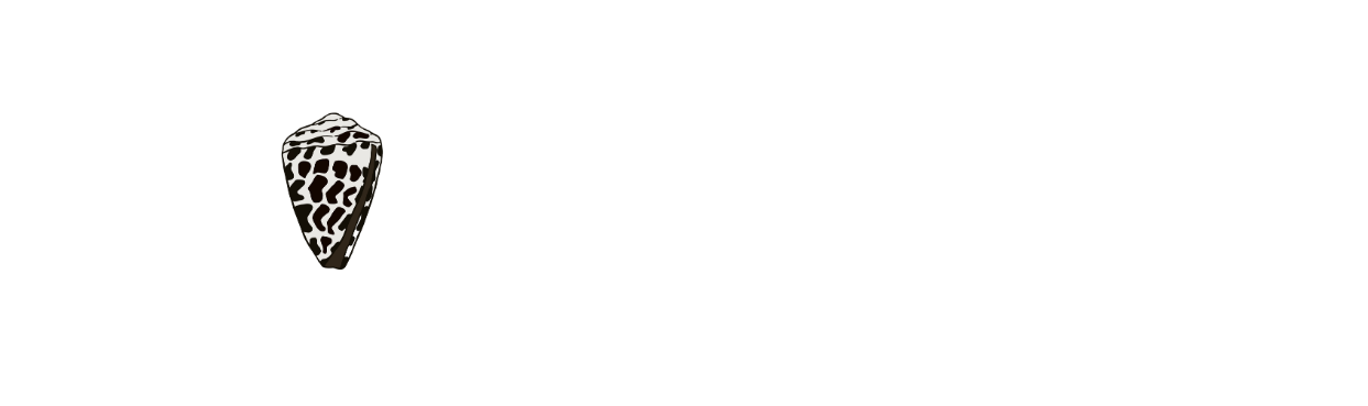 KOASTED